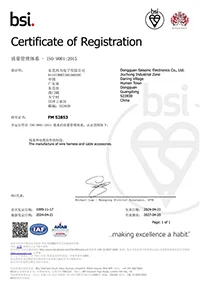 ISO 9001