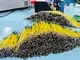 Провода-перемычки и провода с предварительно обжатыми выводами